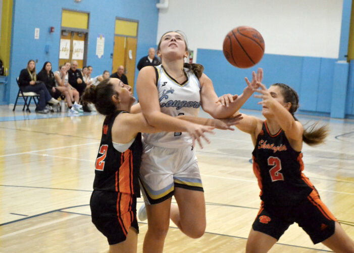 Tough going on offense as Frontier falls to Shadyside, 48-31